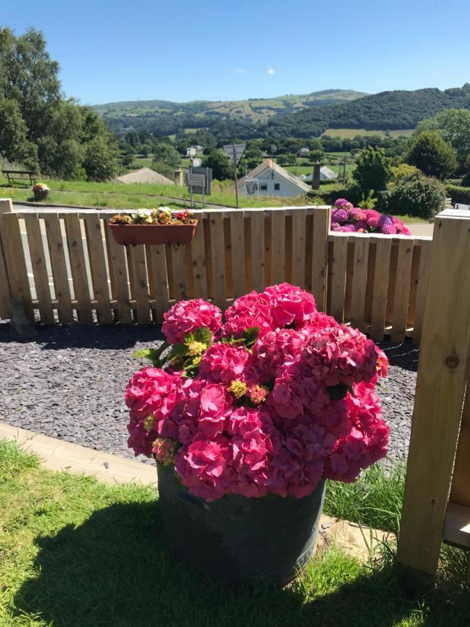 Y Llew Coch Bed & Breakfast Conwy Exterior photo
